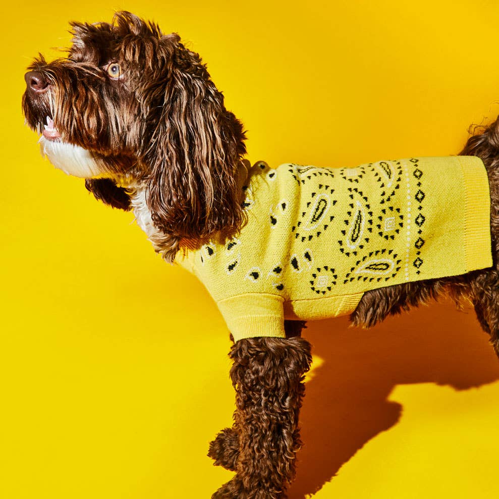 Pull à imprimé bandana