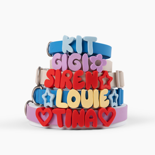 Charms lettres pour laisse ou collier
