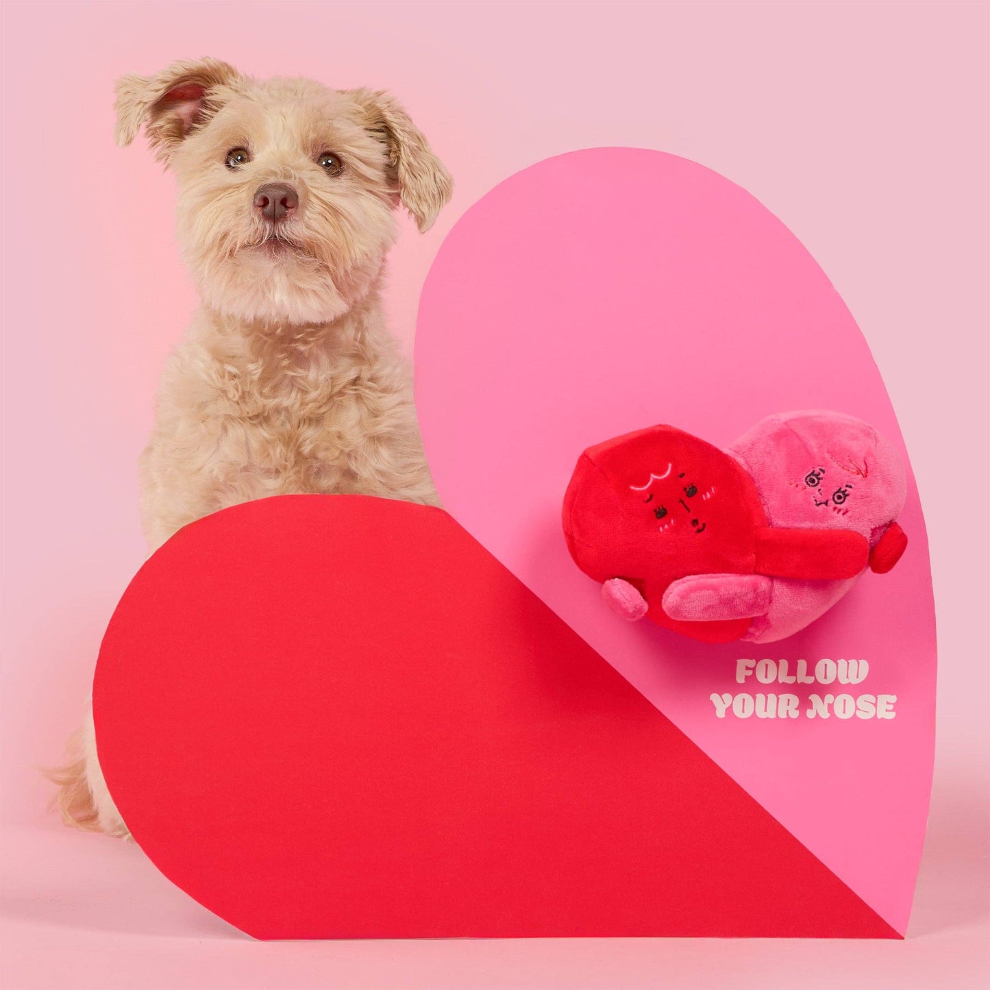 Jouet de fouille - Coeur amour verrouillé