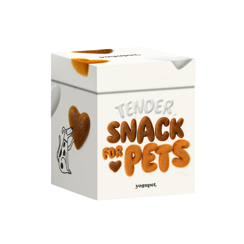 Snacks Box de Noël