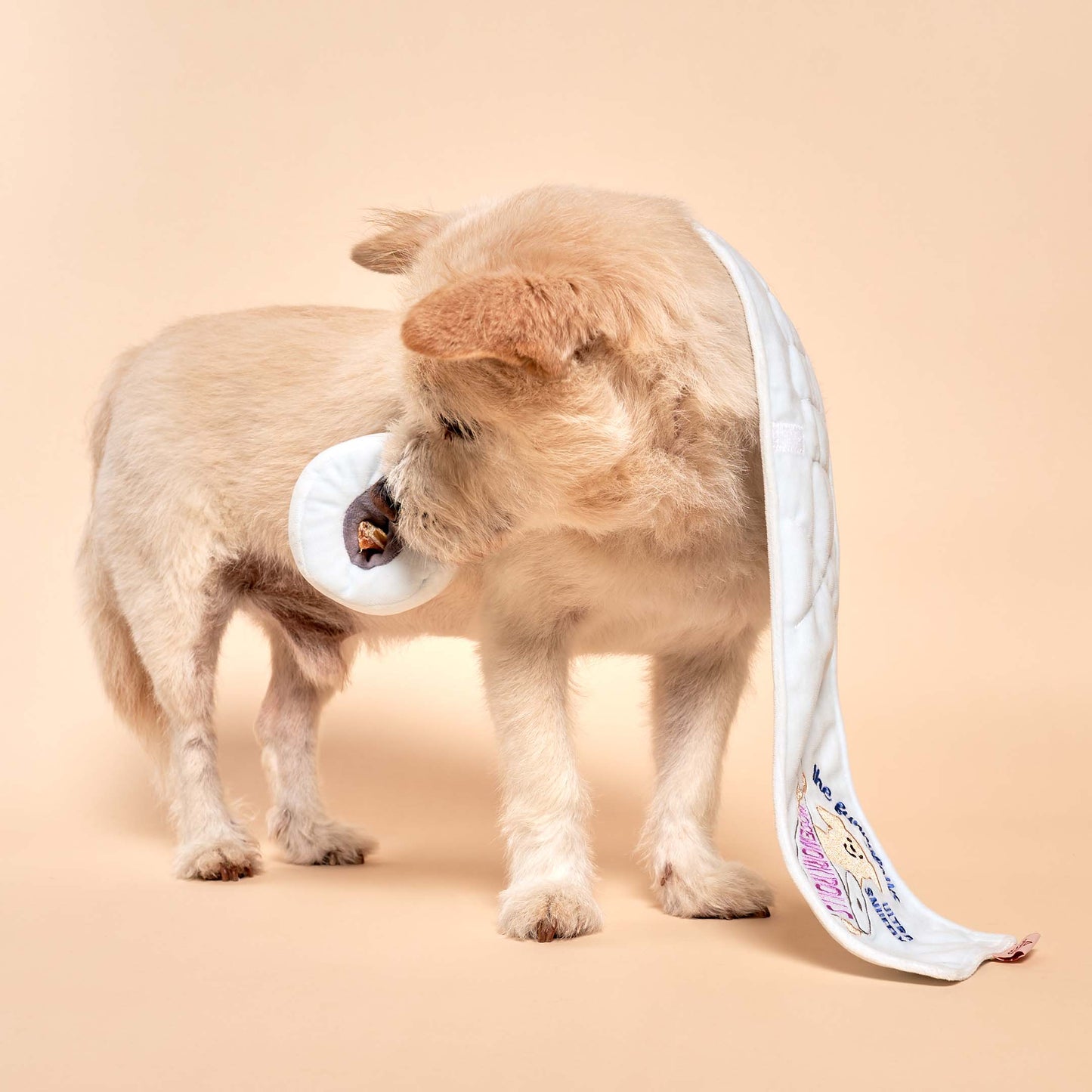 Jouet de Fouille - Papier toilette