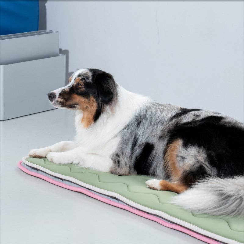 Tapis rafraîchissant à mémoire de forme