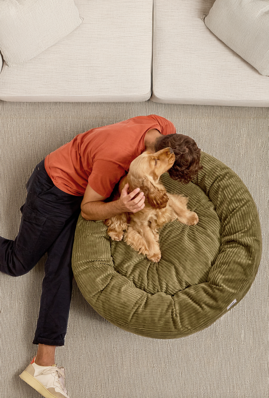 Lit pour chien en velours vert, Nuba