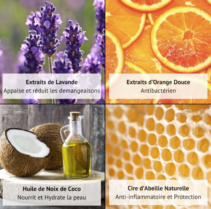 Baume Hydratant pour Chien 100 mL