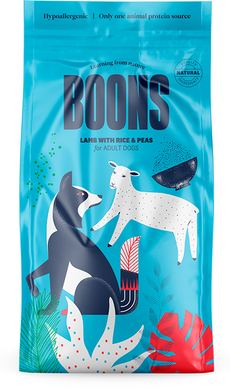 Croquettes Boons 2kg