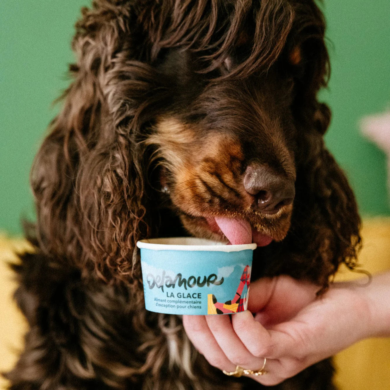Glace l'Originale de Delamour