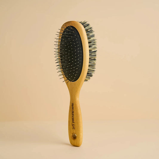 Brosse double face