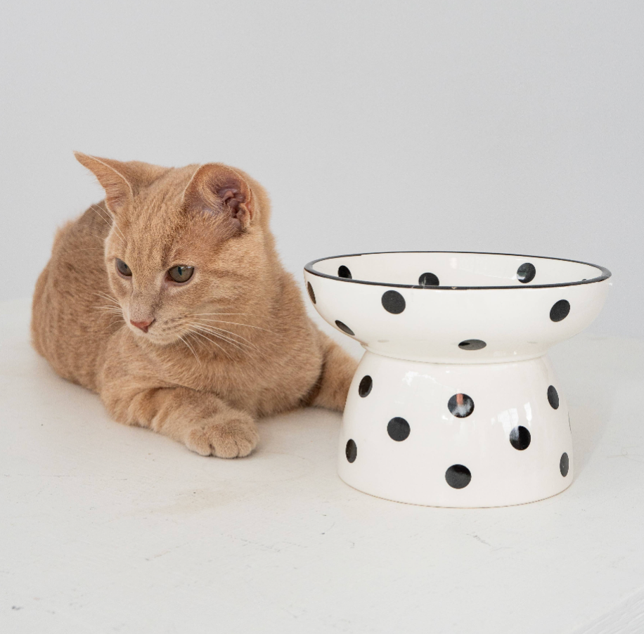 Bol Surélevé en Céramique