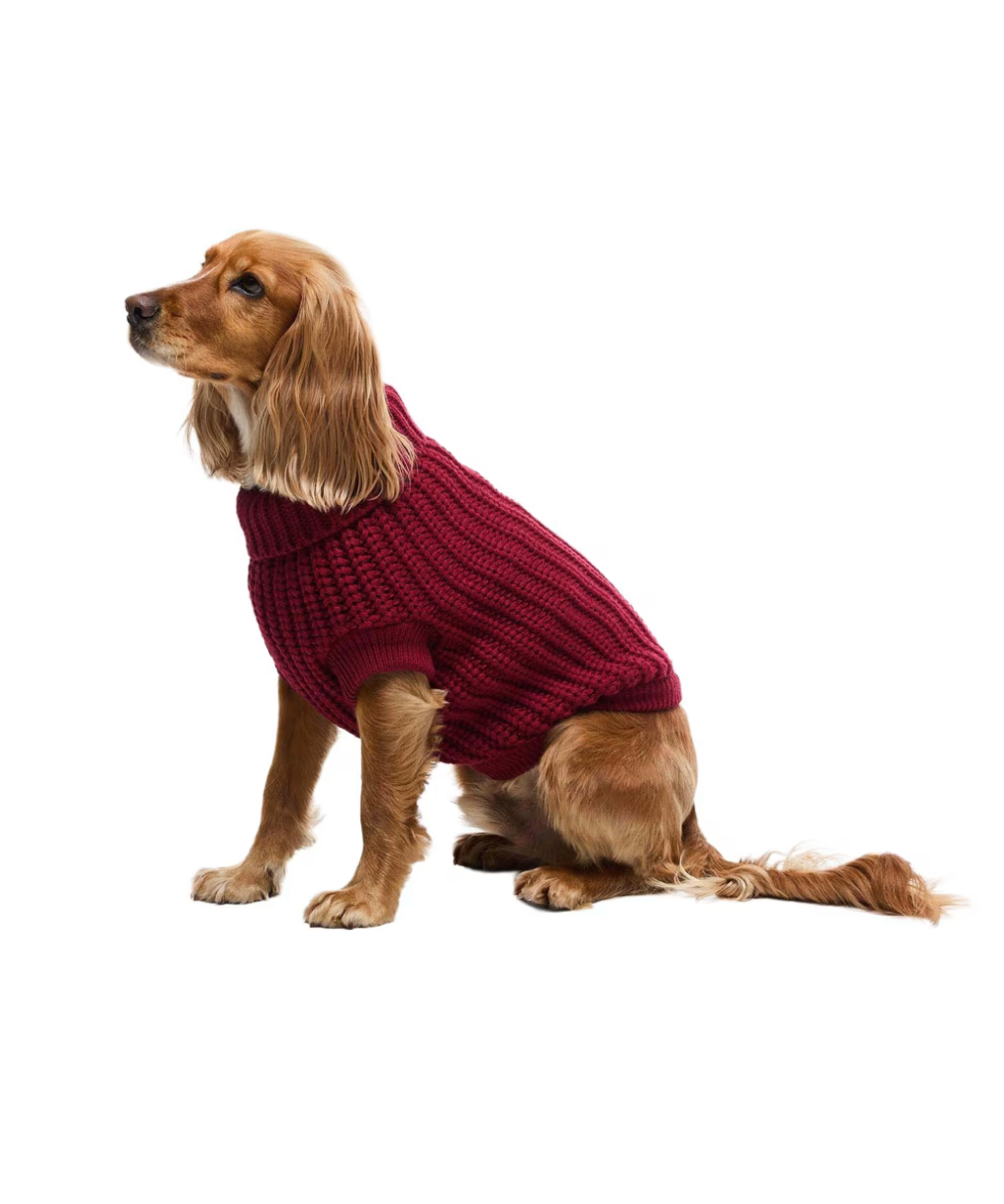 Pull Saltburn BARBOUR