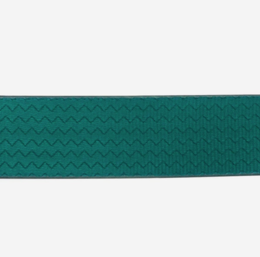 Collier pour Chien ZEE DOG NeoPro™
