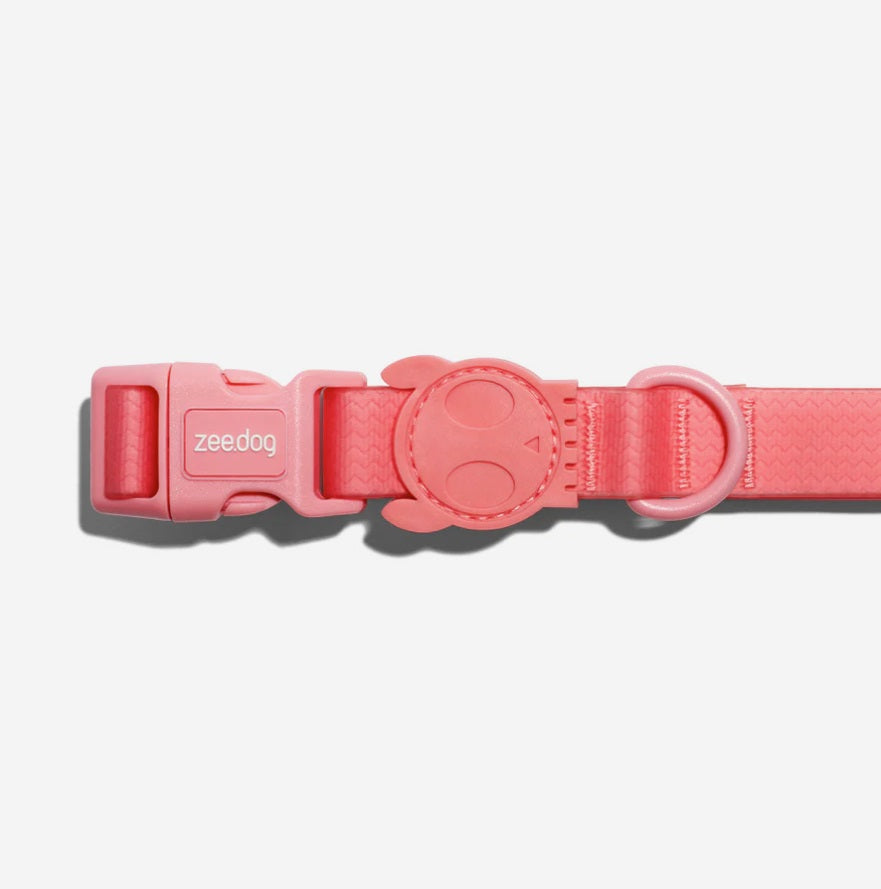 Collier pour Chien ZEE DOG NeoPro™