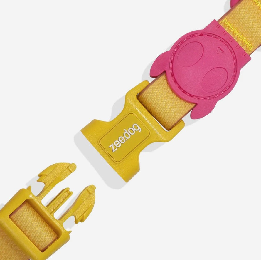 Collier pour Chien ZEE DOG NeoPro™