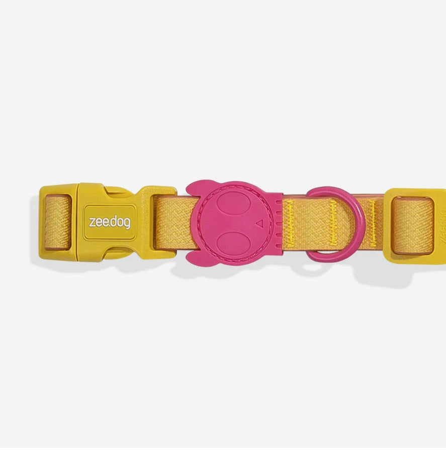 Collier pour Chien ZEE DOG NeoPro™