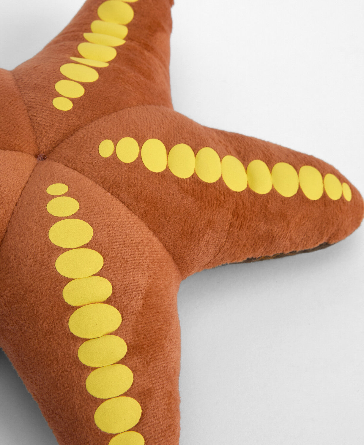 Peluche étoile de mer BARBOUR