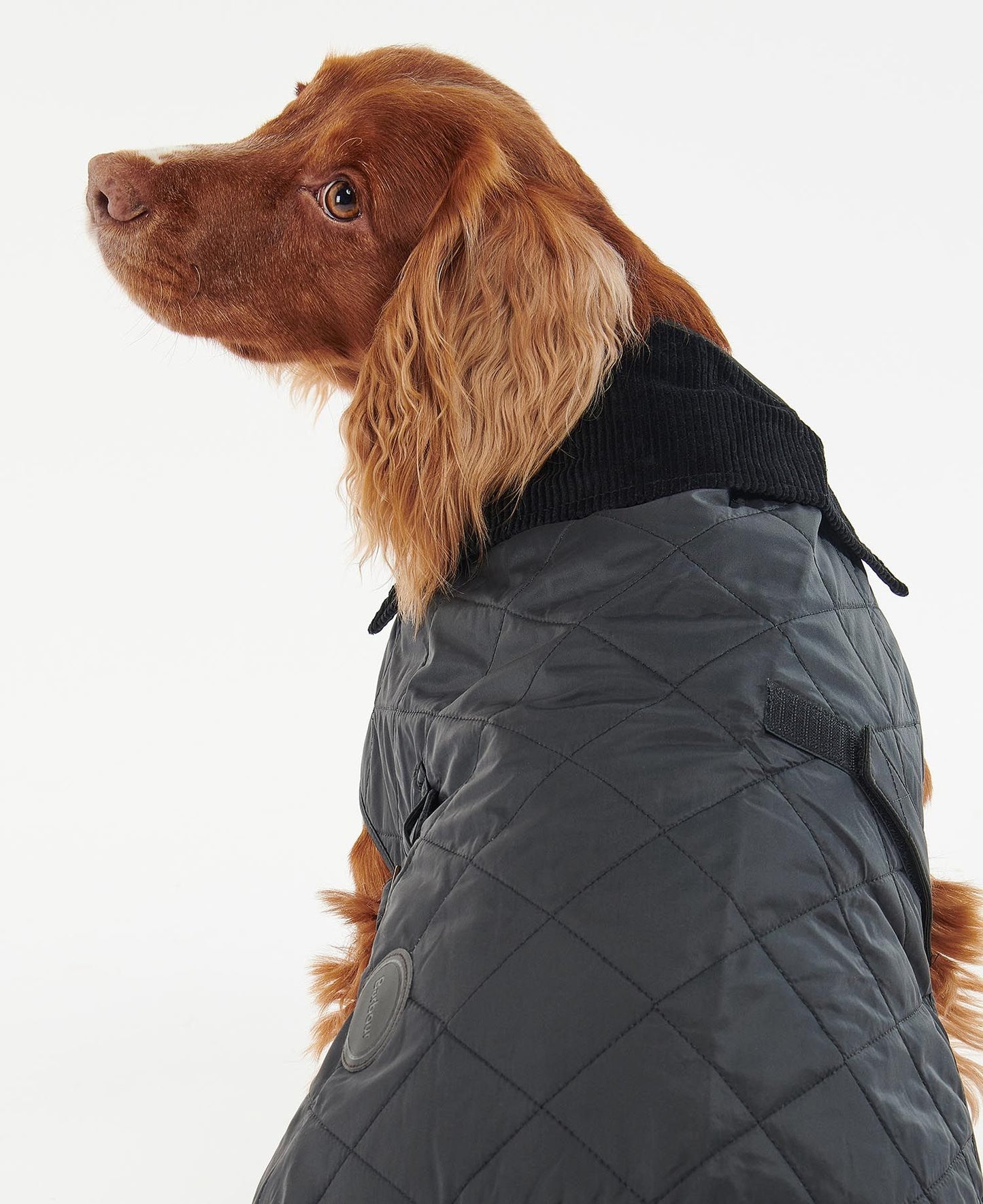 Manteau matelassé - BARBOUR