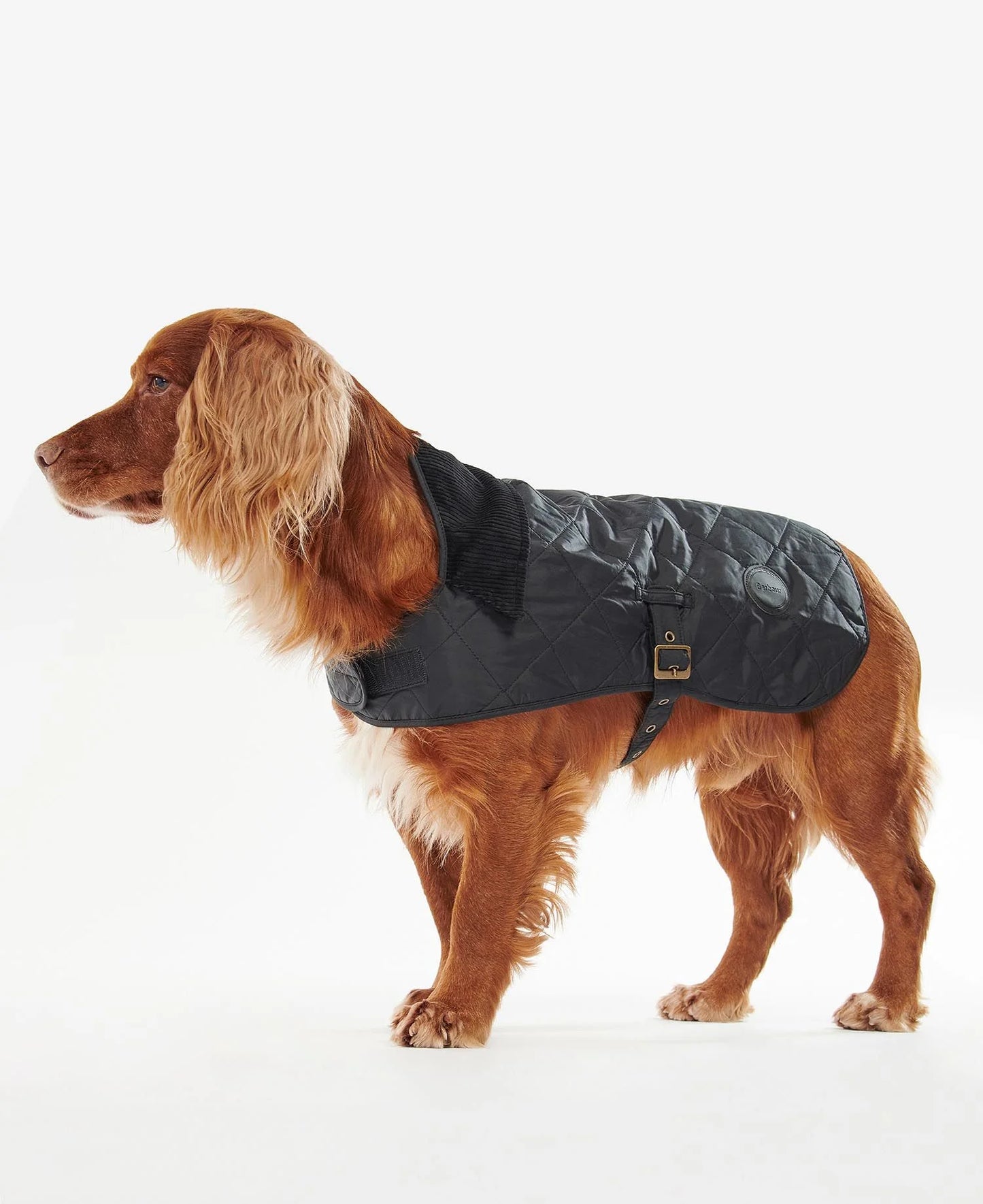 Manteau matelassé - BARBOUR