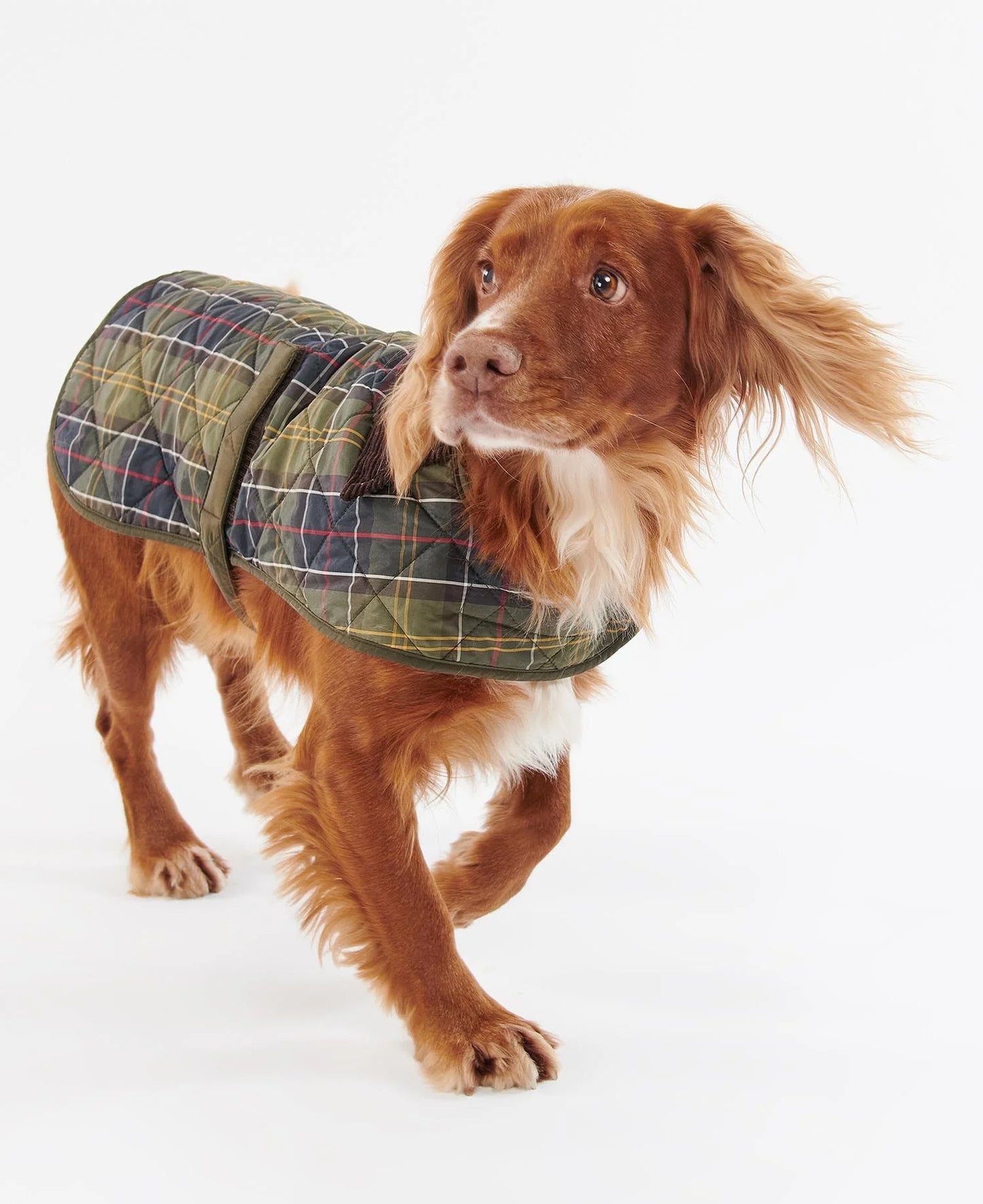 Manteau Matelassé Tartan - BARBOUR