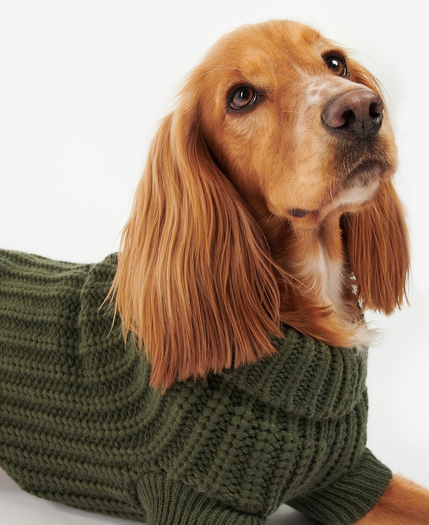 Pull Saltburn BARBOUR