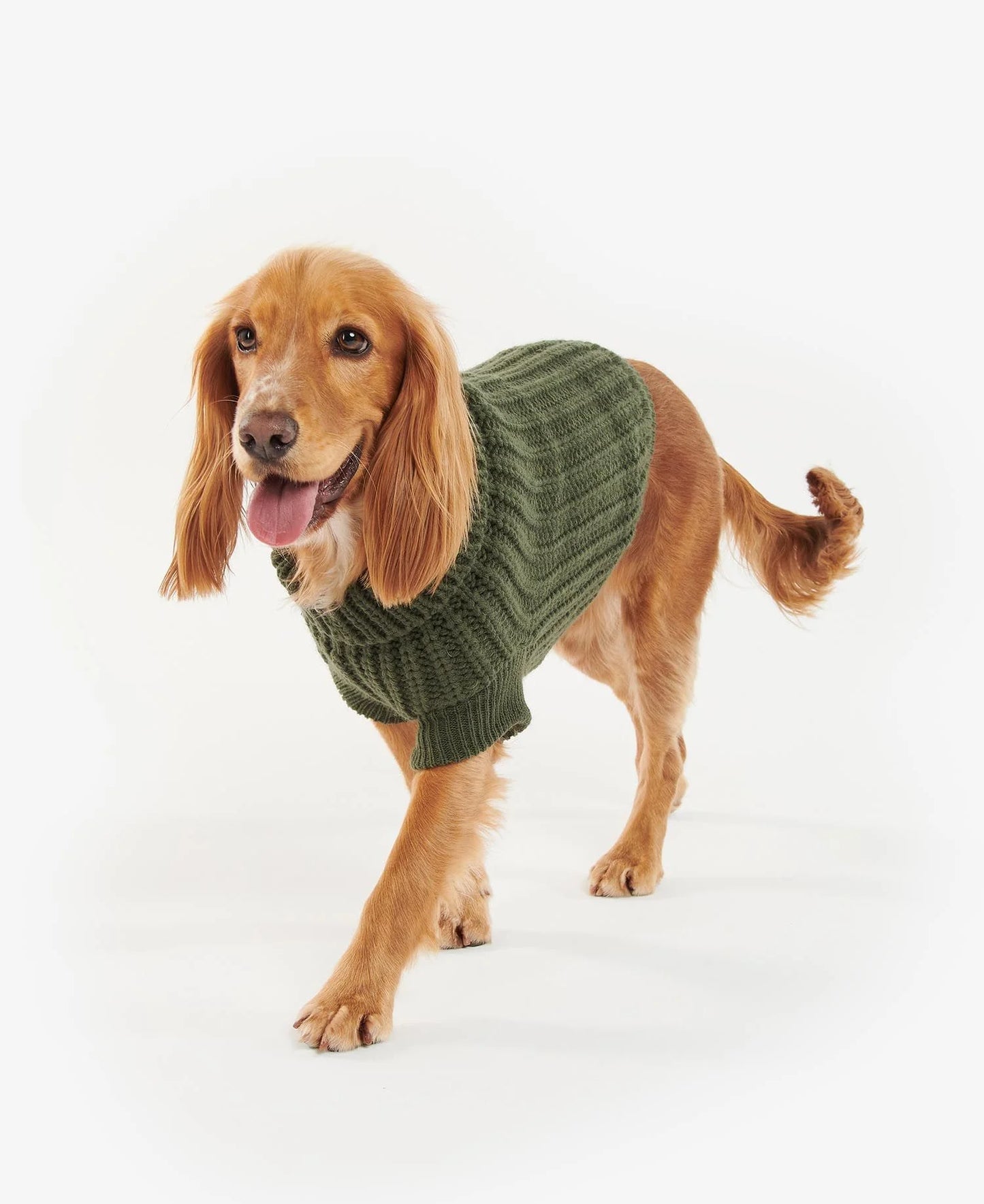 Pull Saltburn BARBOUR