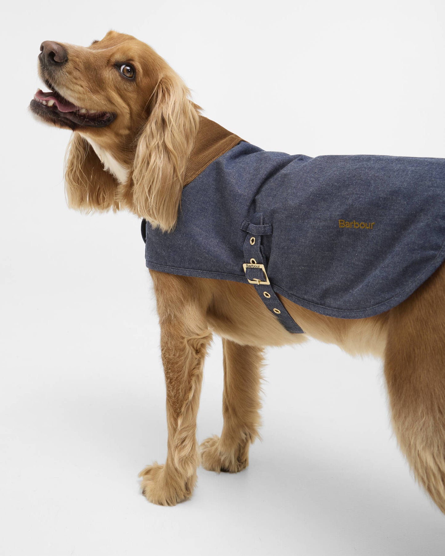Denim Dry wax Dog Coat BARBOUR