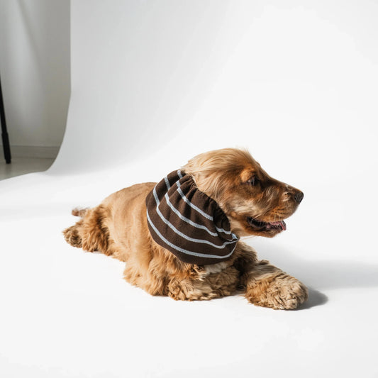 Snood tricoté marron rayé bleu