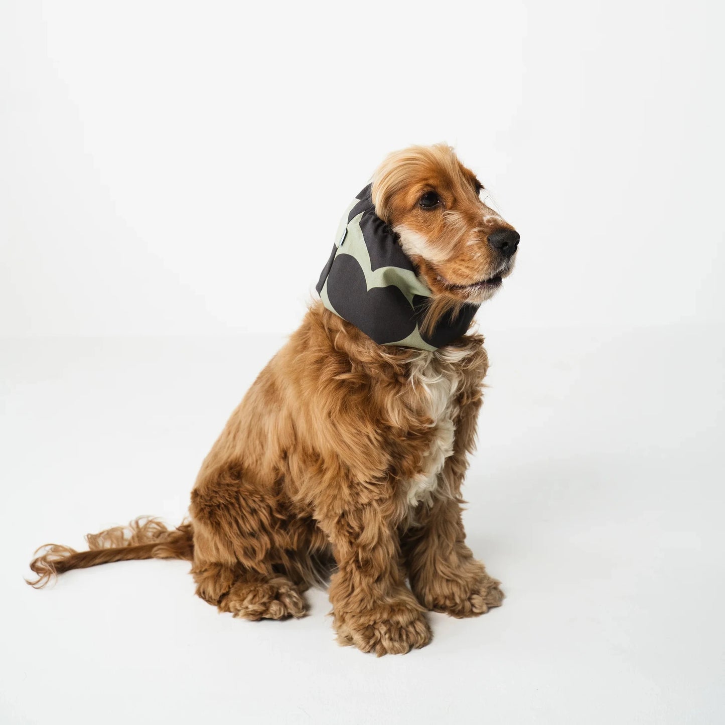 Snood en coton