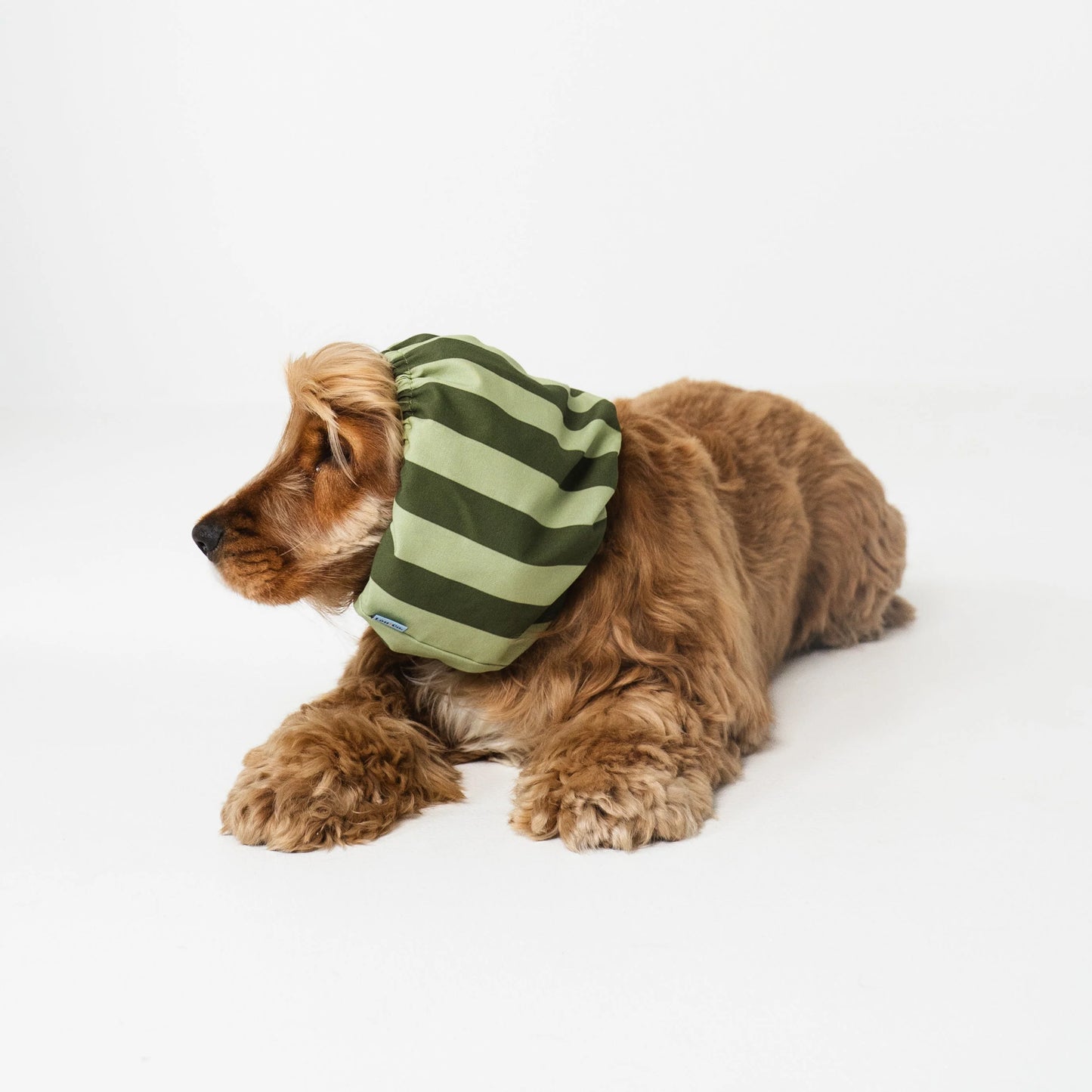 Snood en coton