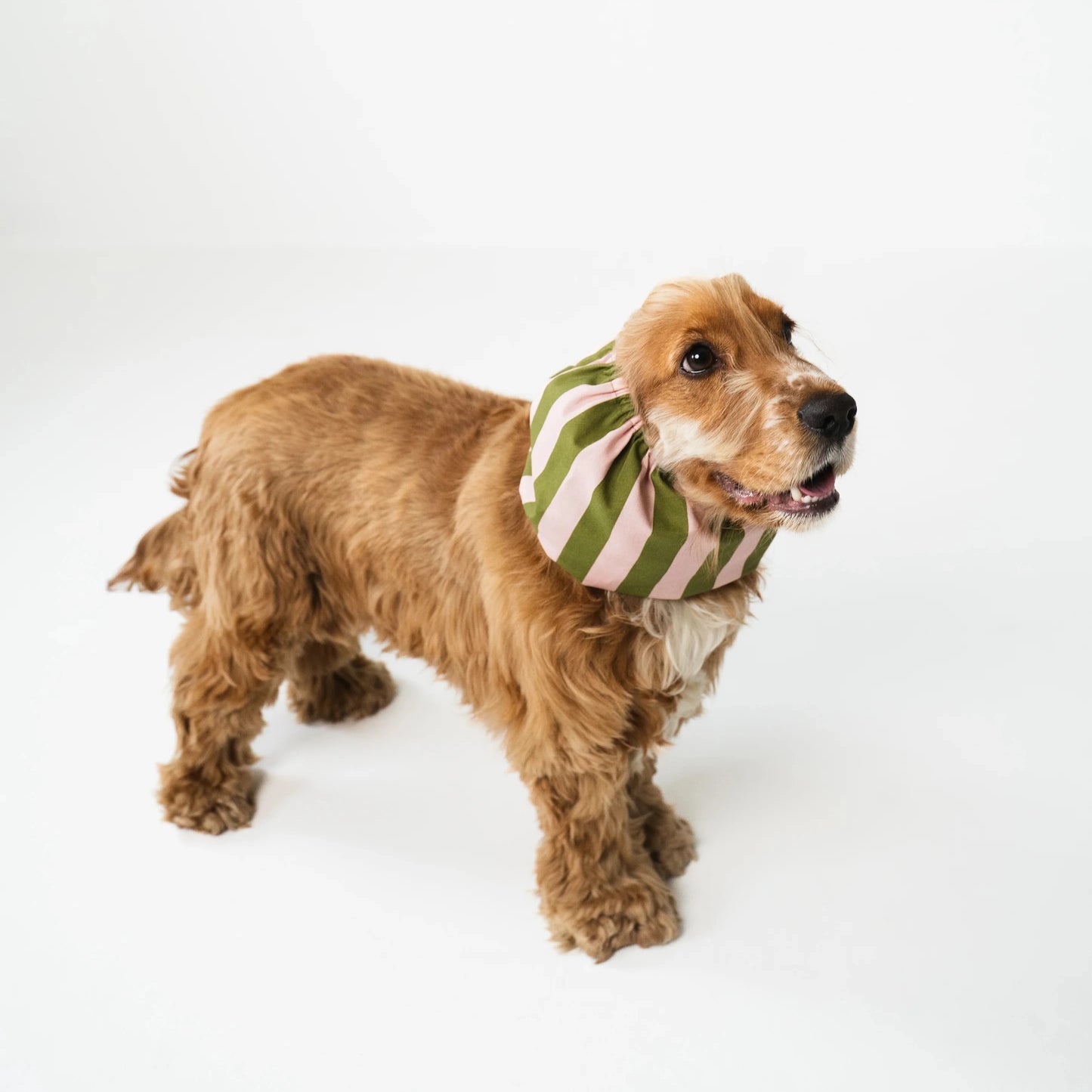 Snood en coton