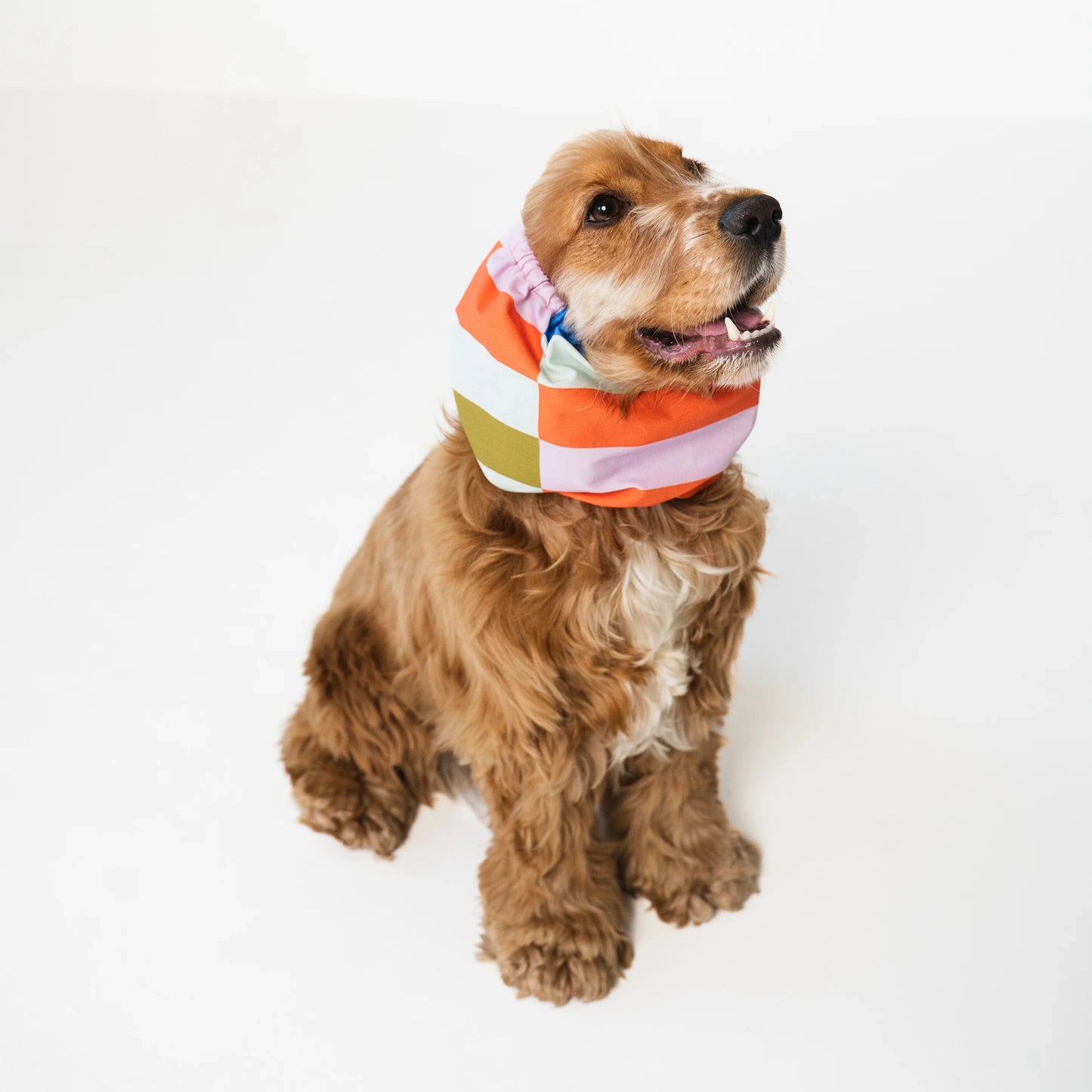 Snood en coton