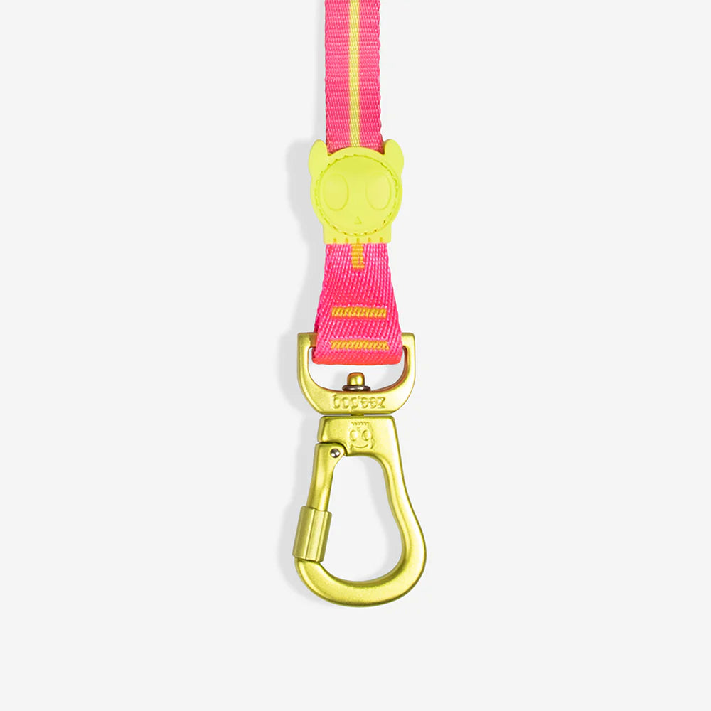 Long Leash ZEE DOG Laisse Longue Ajustable