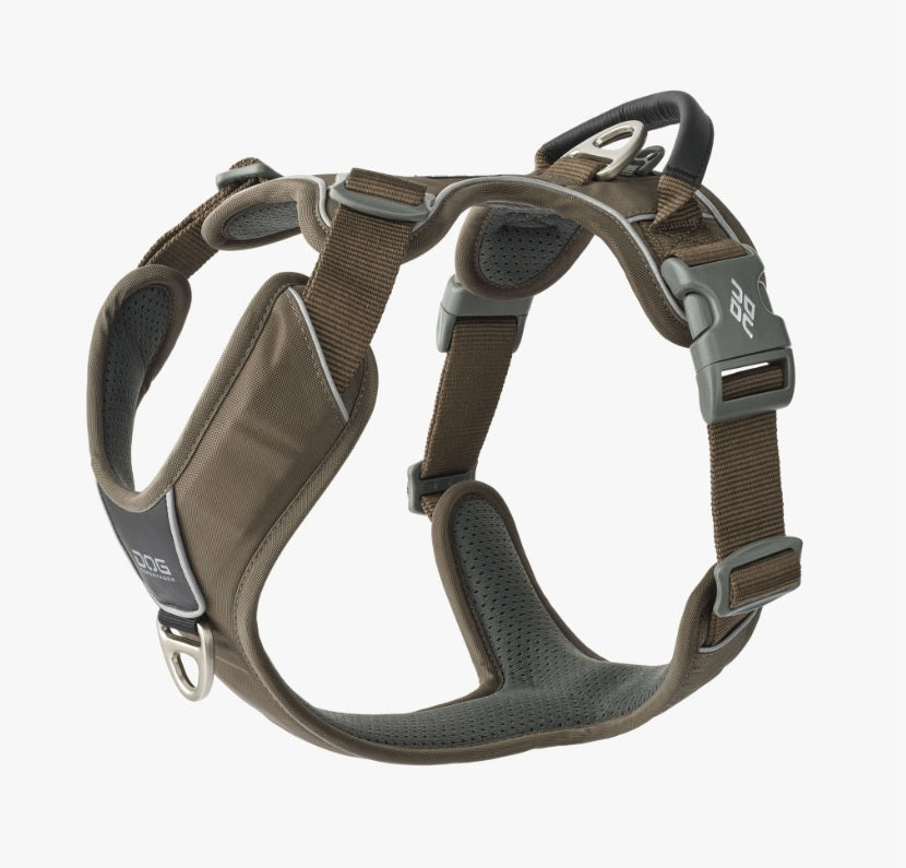 Harnais Comfort Walk Pro