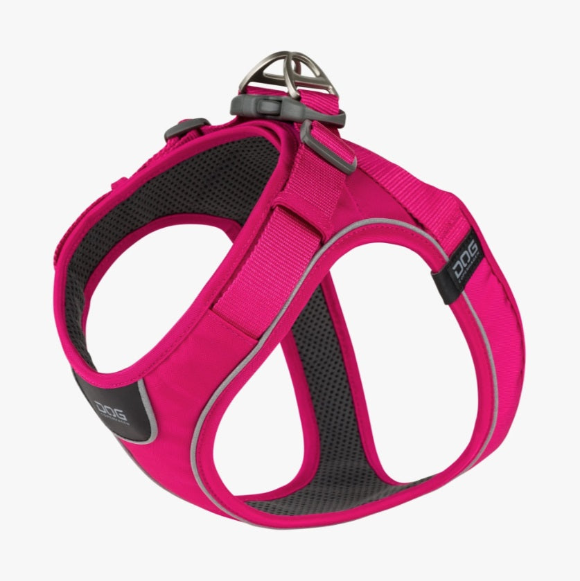 Harnais Comfort Walk Go™