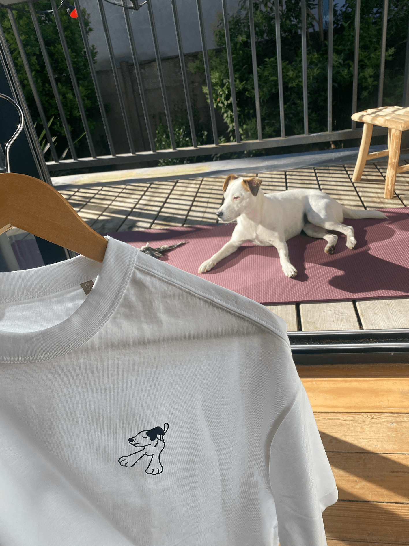 T-shirt manches courtes Dogs dogs dogs