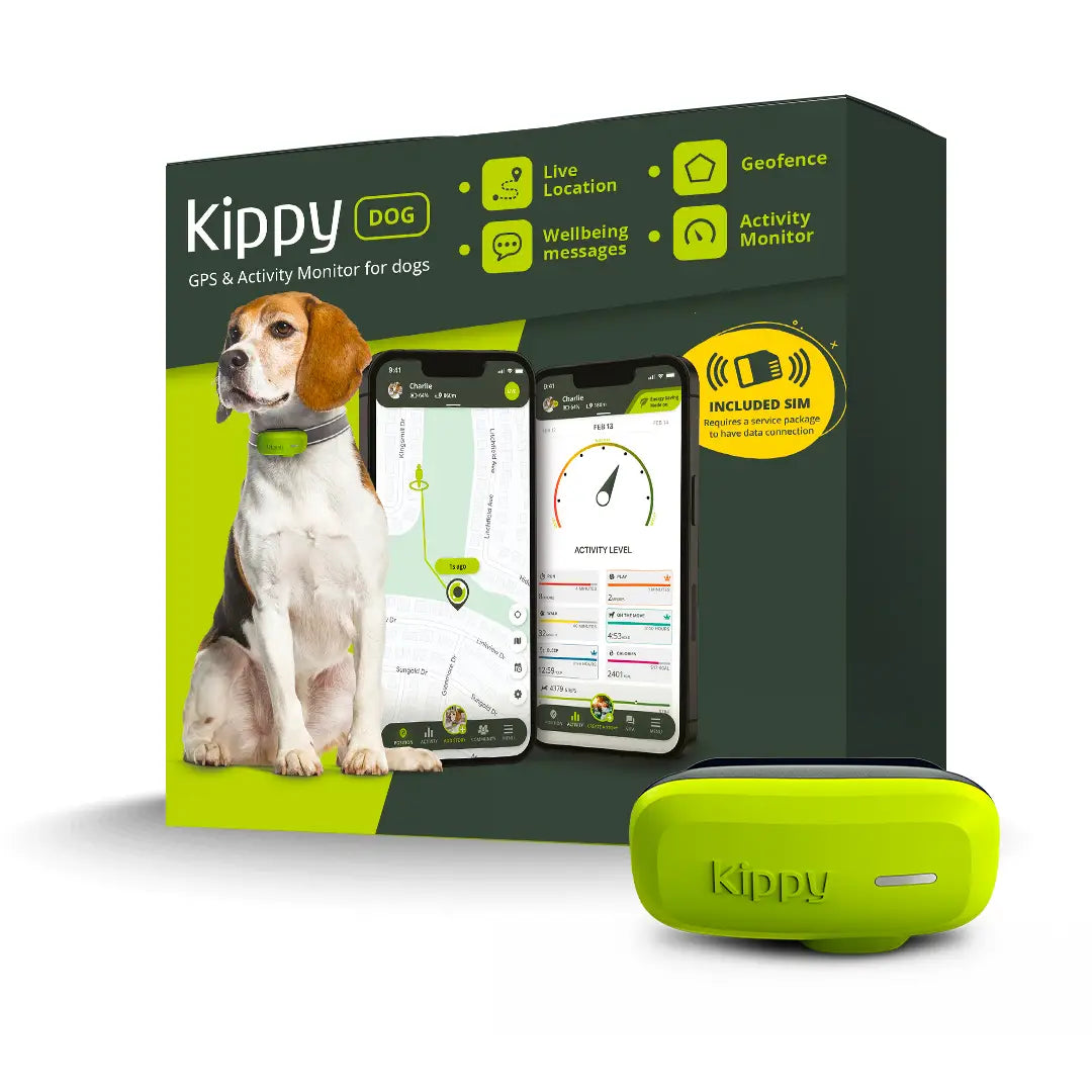 GPS pour chien
