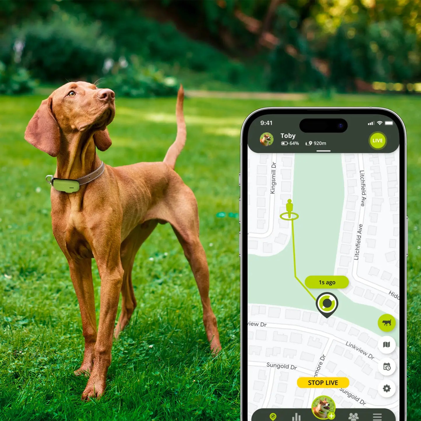 GPS pour chien