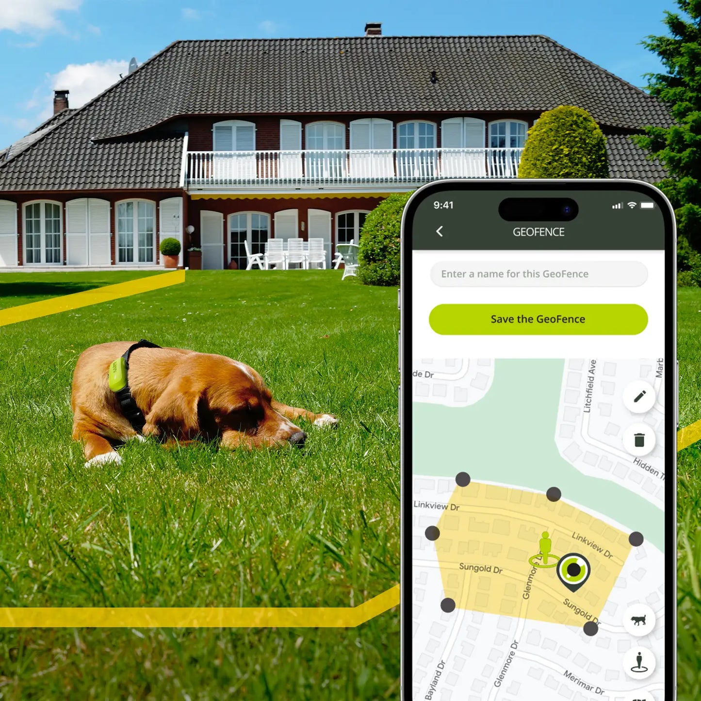 GPS pour chien