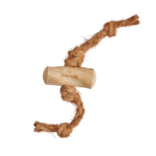 Bois de Caféier + Corde Coco