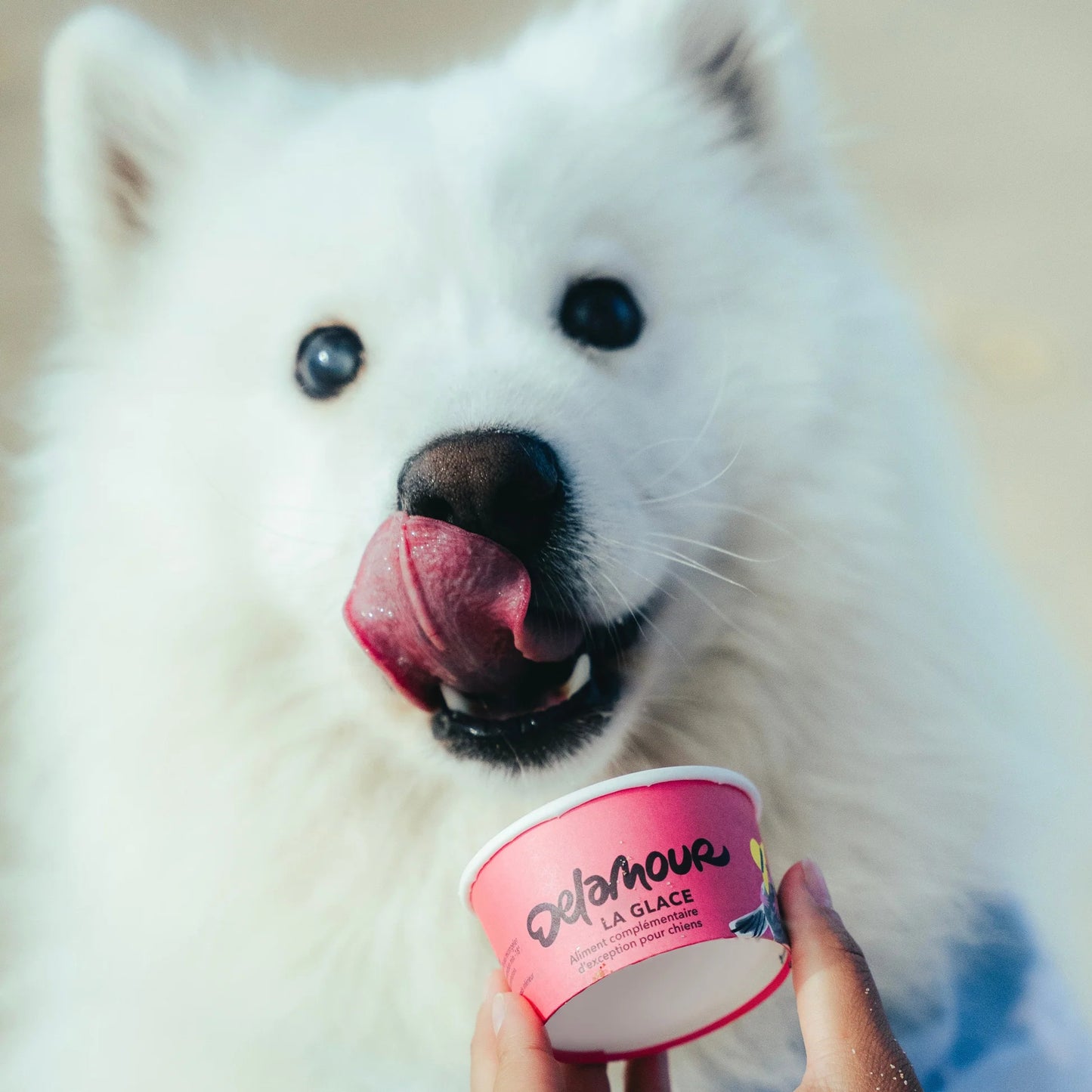Glace Framboise de Delamour