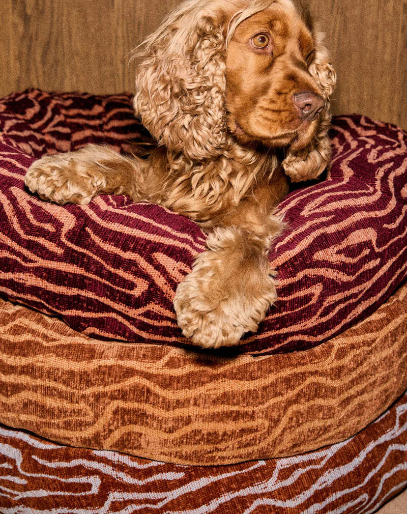 Panier rond ETHNIC pour chien