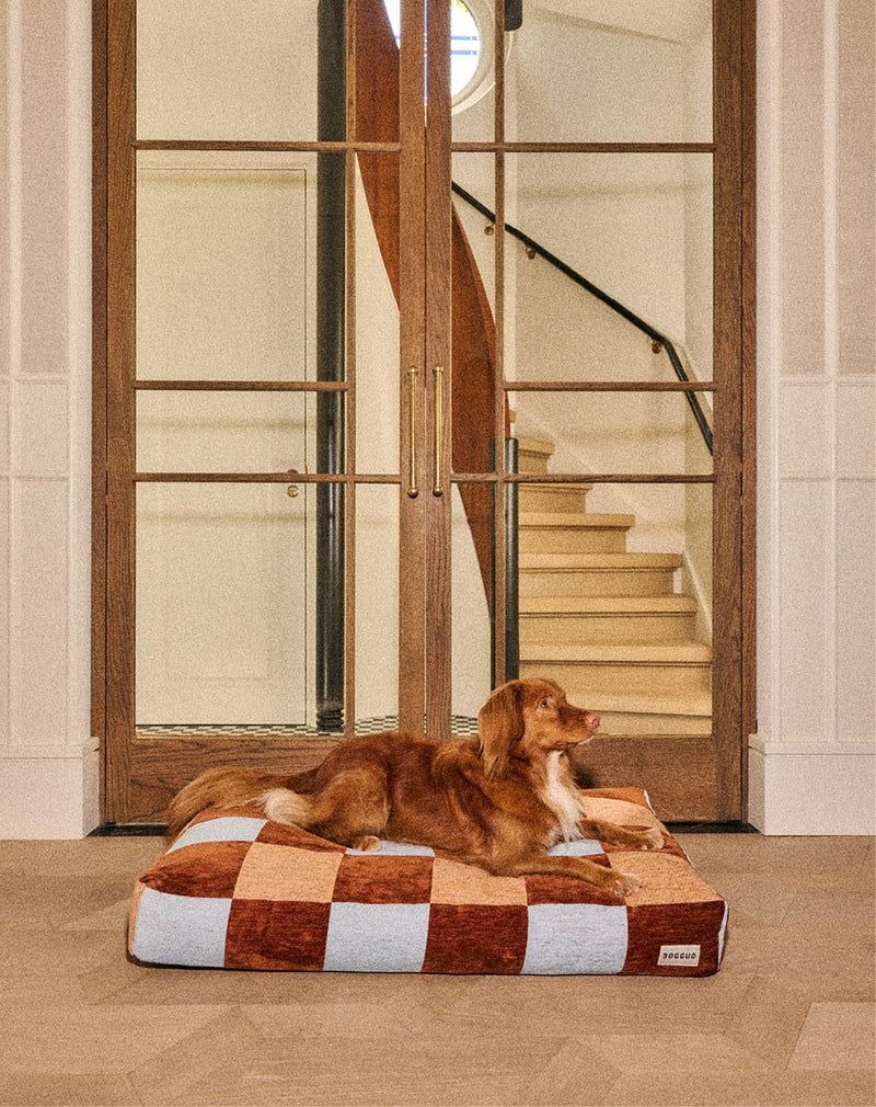 Panier BLOCK pour chien