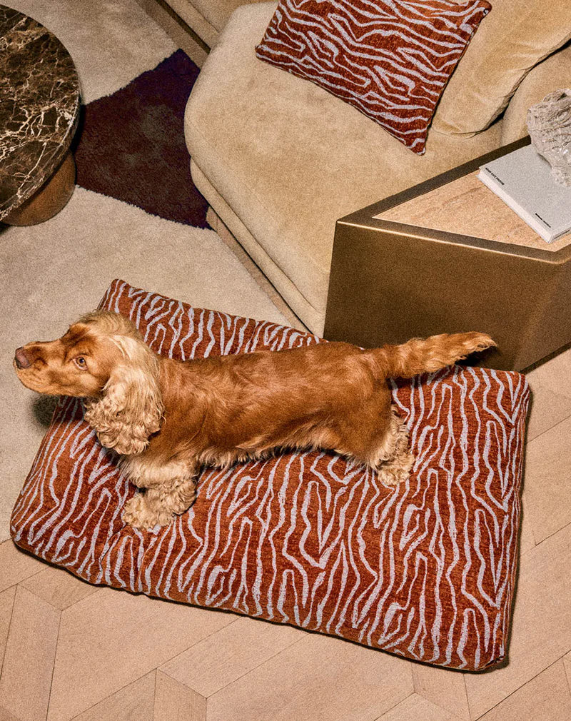 Panier ETHNIC pour chien