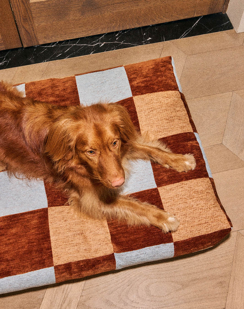 Panier BLOCK pour chien