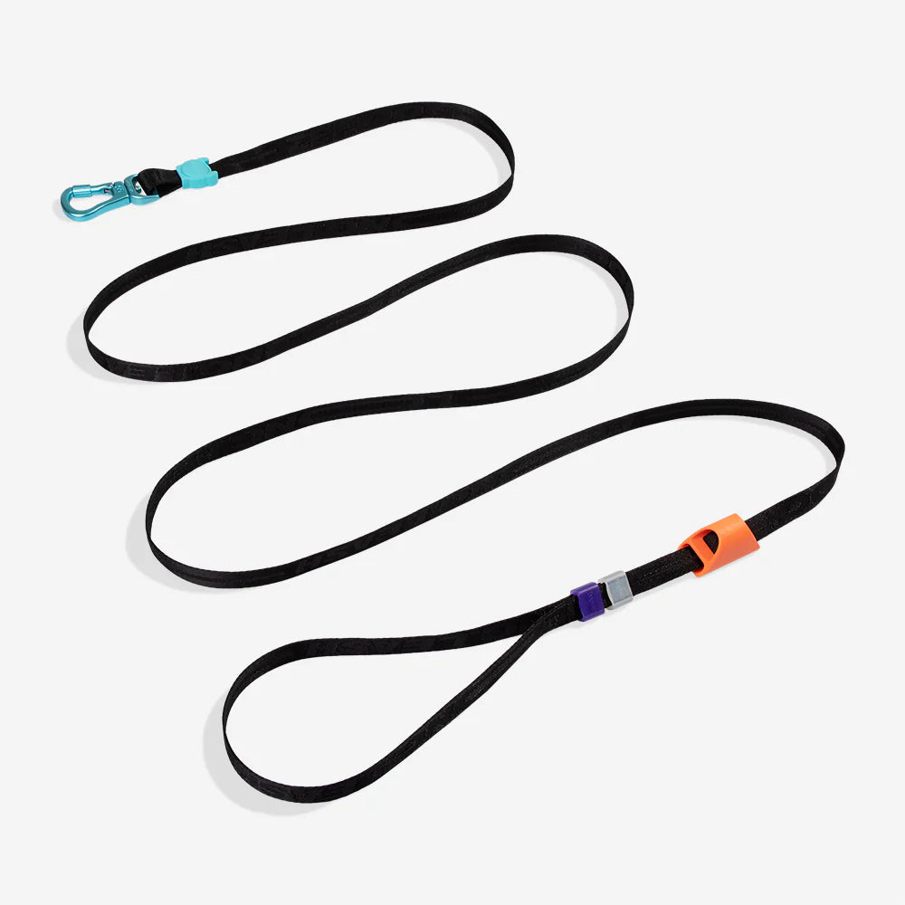 Long Leash ZEE DOG Laisse Longue Ajustable