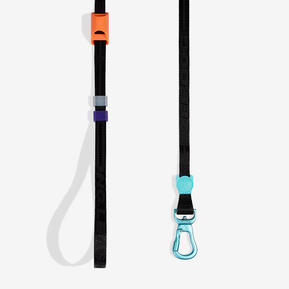 Long Leash ZEE DOG Laisse Longue Ajustable