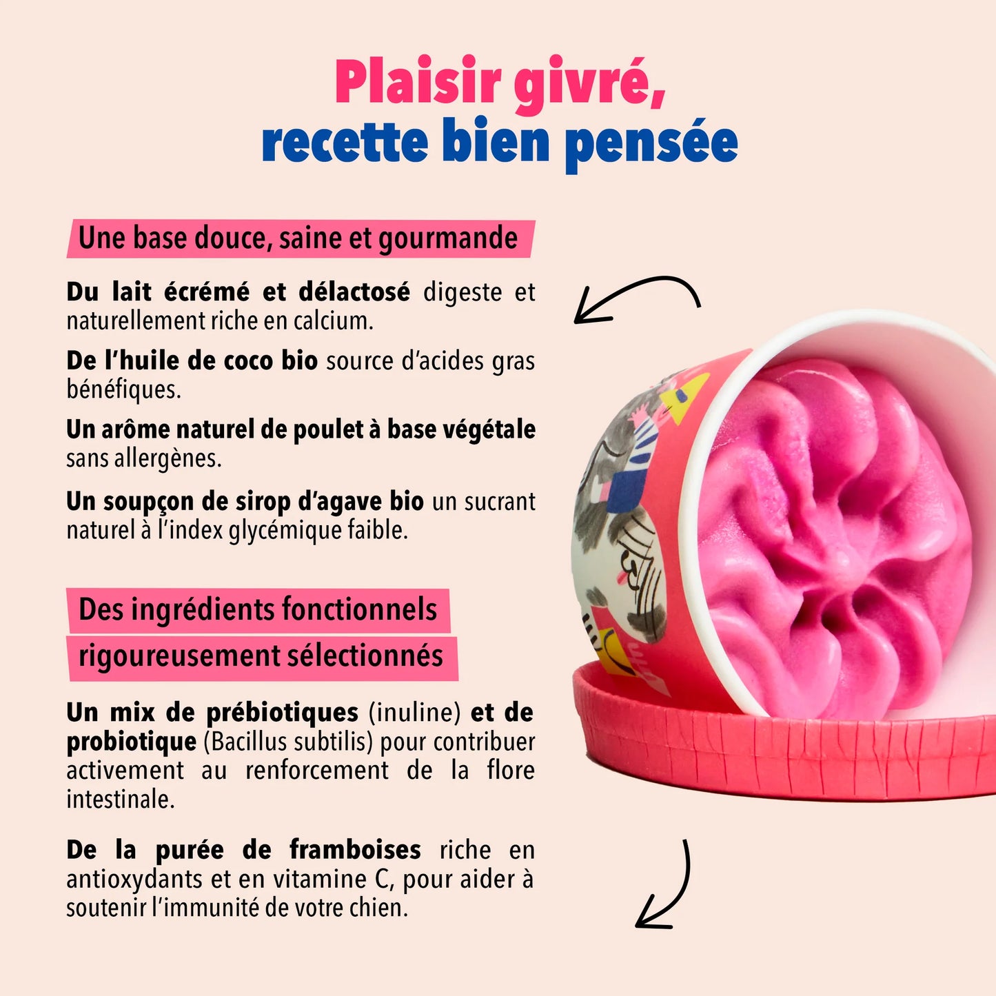 Glace Framboise de Delamour