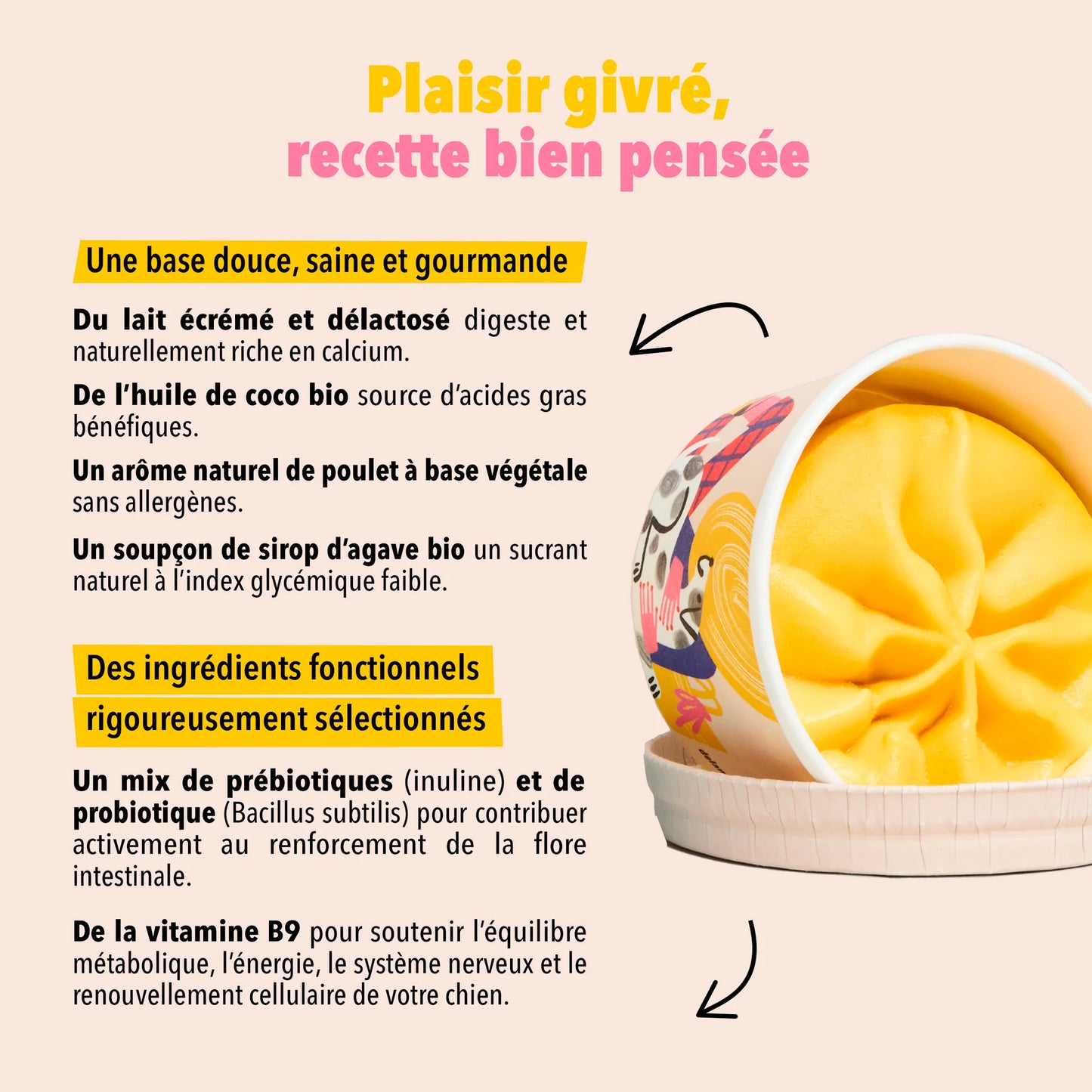 Glace la Vitaminée de Delamour