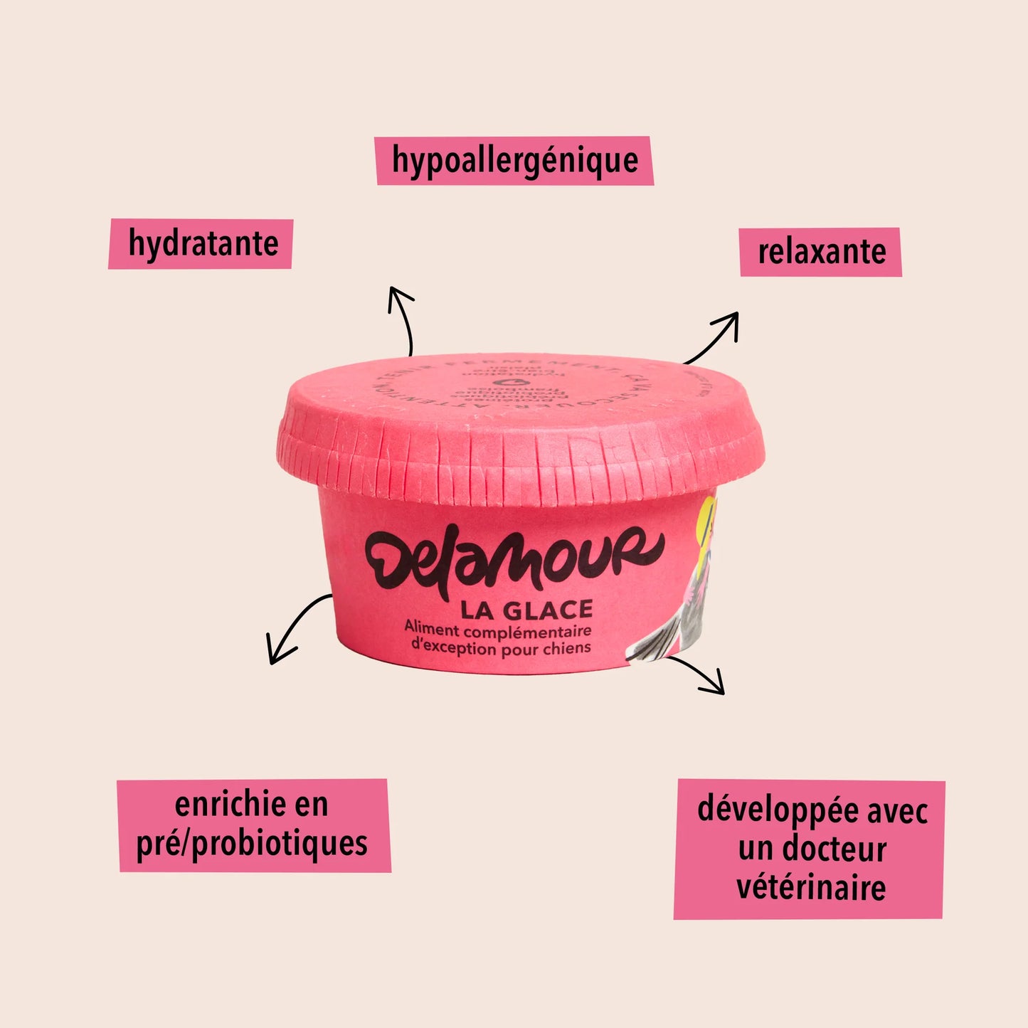 Glace Framboise de Delamour