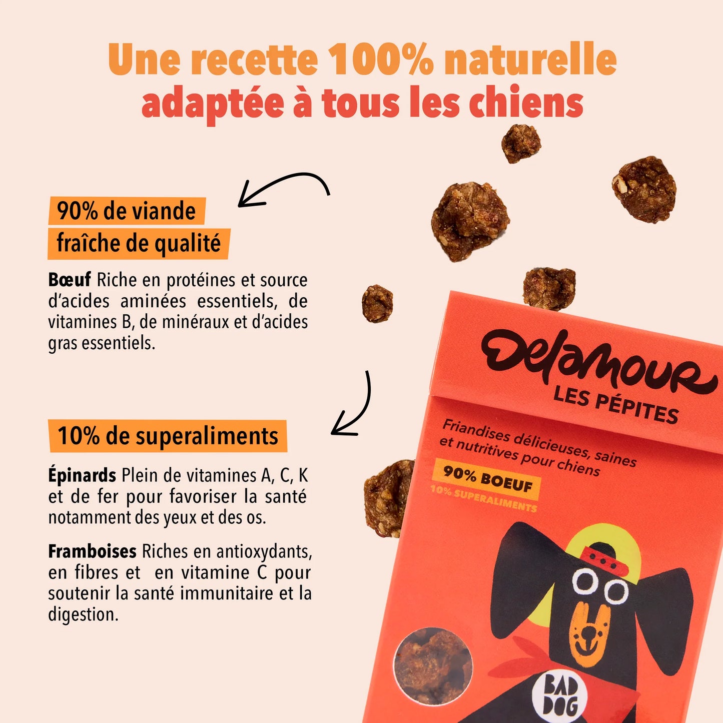 Friandises Les pépites
