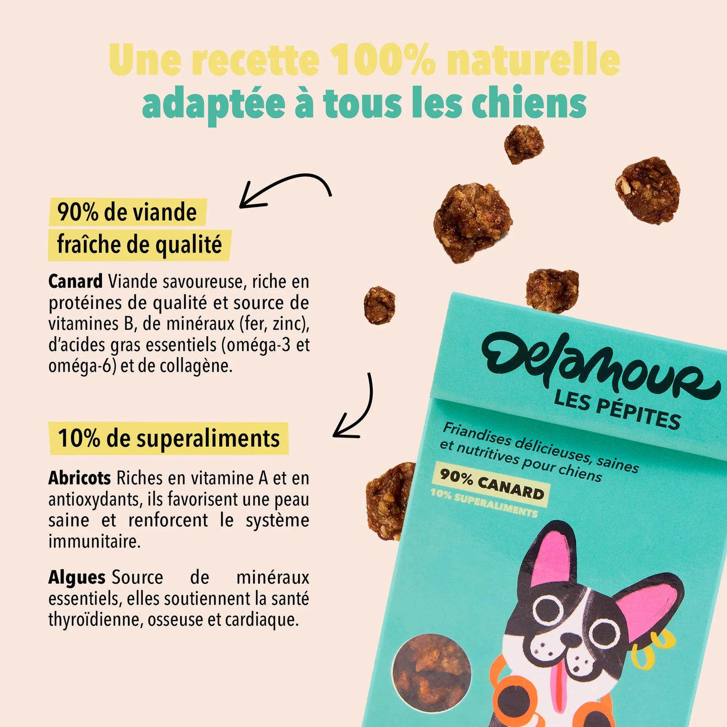 Friandises Les pépites