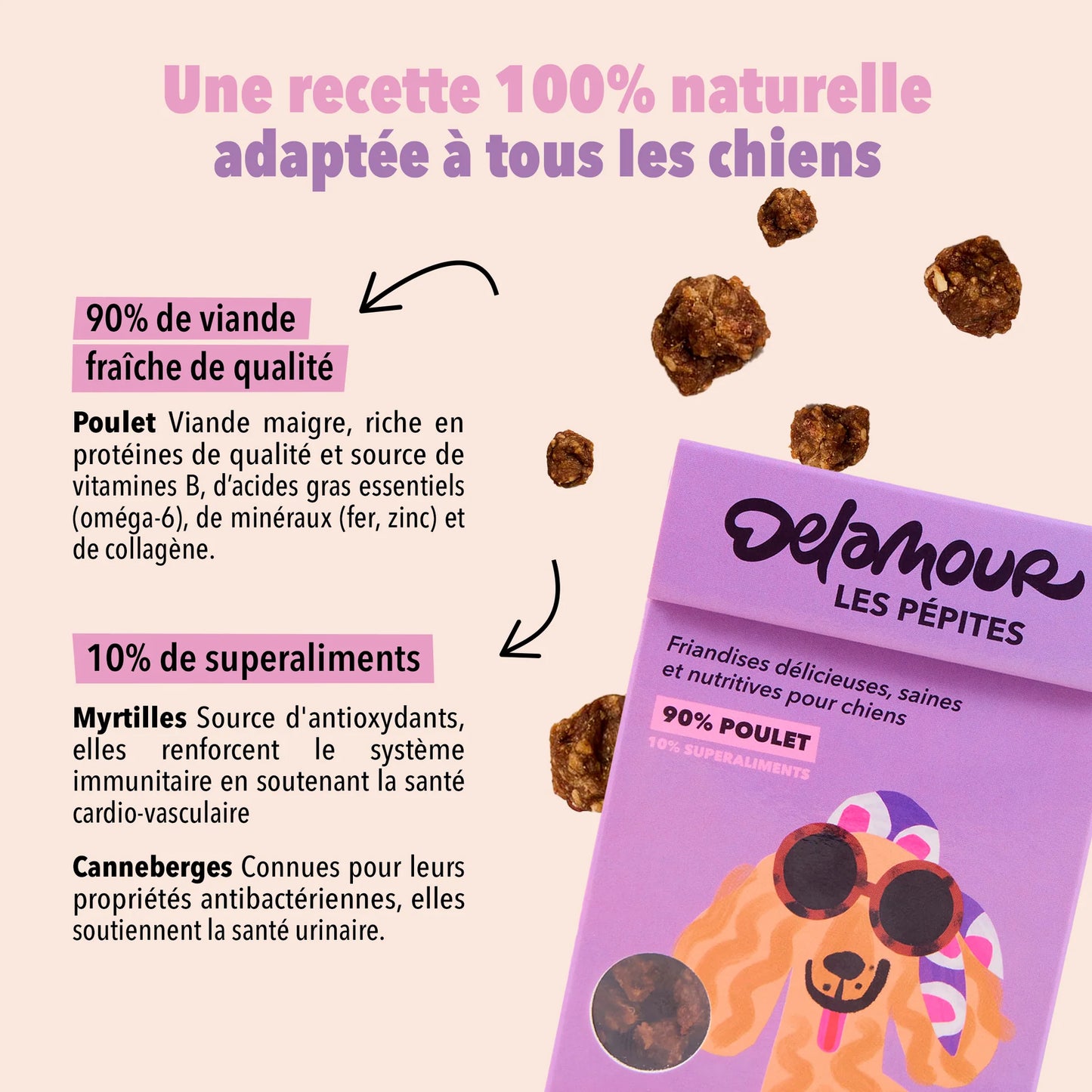 Friandises Les pépites